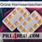 Grüne Hornissenlaschen cialis4